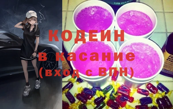 хмурый Арсеньев