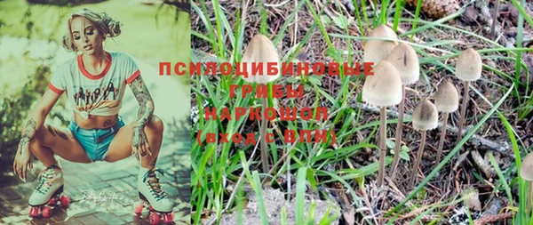 хмурый Арсеньев