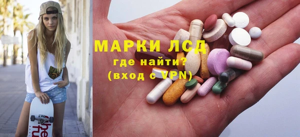 хмурый Арсеньев