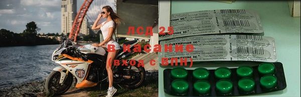 мдпв Елабуга