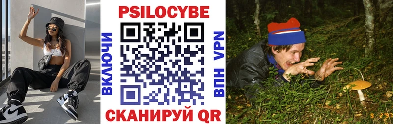 закладки  Армянск  Галлюциногенные грибы мицелий 